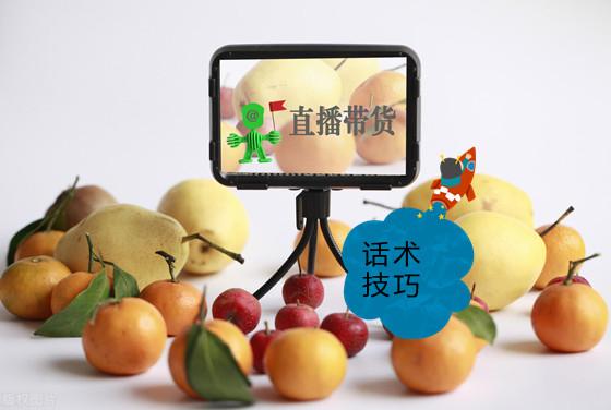 直播带货护肤品怎么做（抖音直播聊天话术大全）