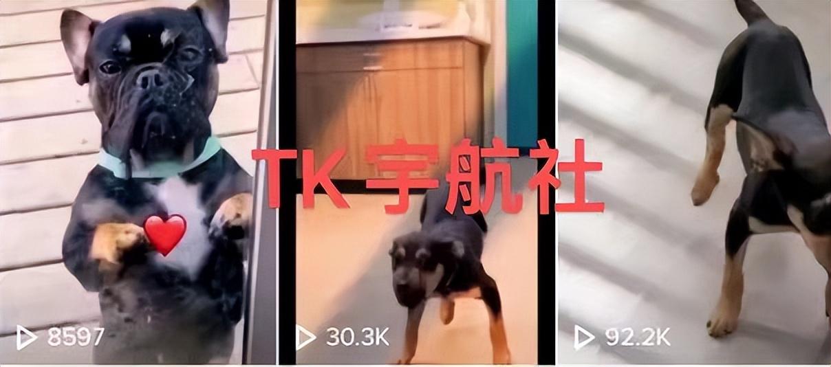 什么是抖音矩阵玩法（tiktok群控矩阵）