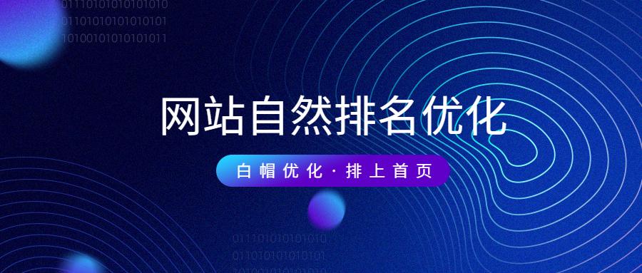 seo网站优化推广排名（网站快速优化排名优化）