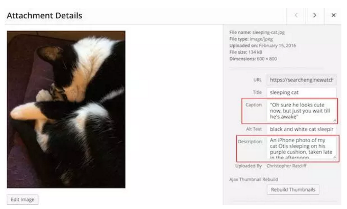 seo网页如何优化（seo图片优化的方法）