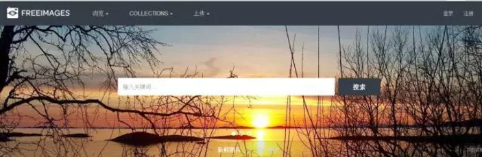 seo网页如何优化（seo图片优化的方法）