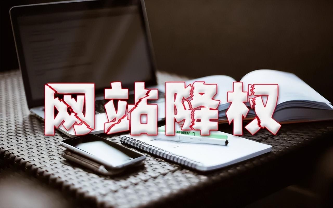 搜索引擎的降权规则有哪些（网站被搜索引擎降权的原因有哪些）