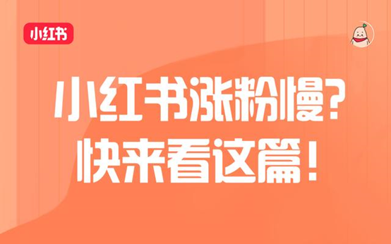 小红书的流量推荐机制（小红书涨粉规则）