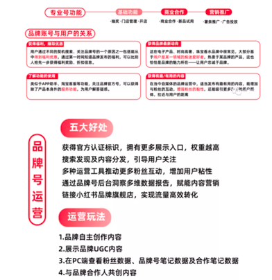 小红书seo怎么做（小红书营销策略建议）