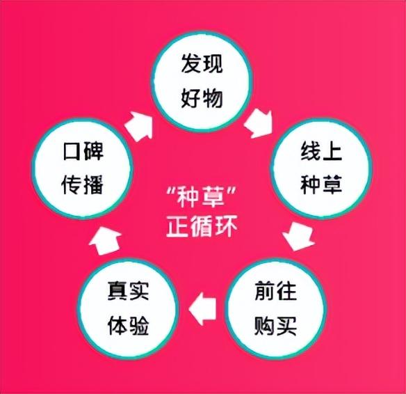 为什么要做小红书运营（小红书怎么优化关键词）