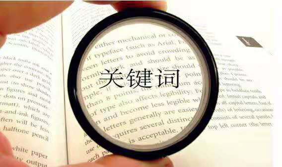 seo关键词排名优化技巧（网站seo关键词优化技巧）