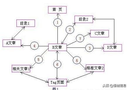 seo如何进行优化（seo网络搜索引擎优化）