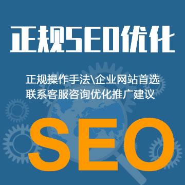 怎么优化网站seo（网站seo内部优化方法）