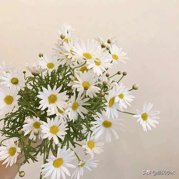 seo文章关键词怎么优化（关键词的选择要注意哪几点）