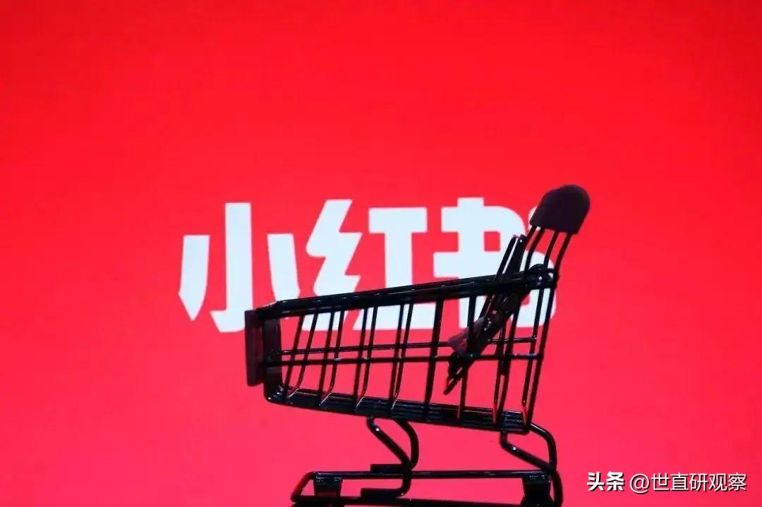 小红书种草带货怎么做（小红书种草的好处）