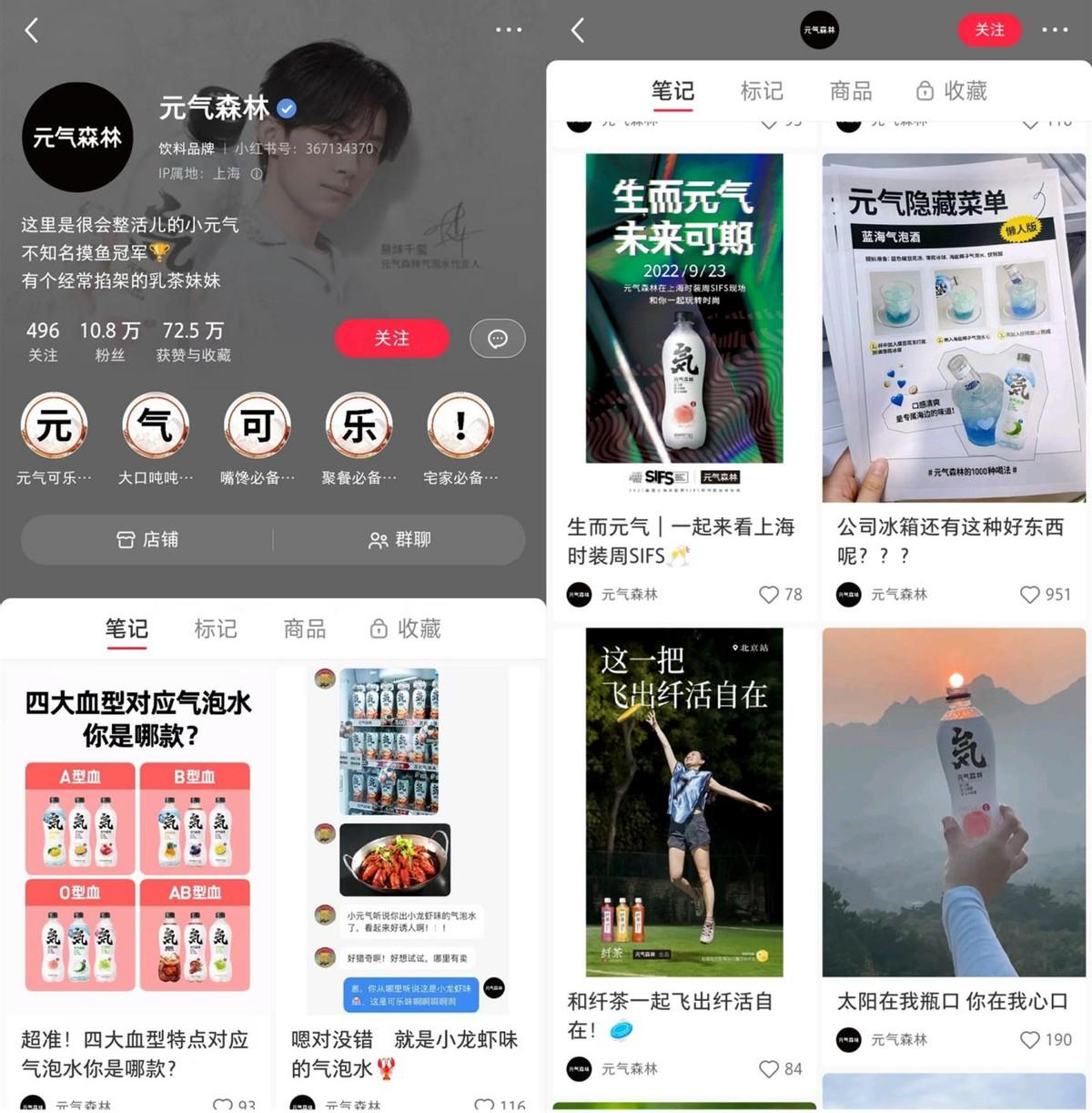 小红书的推广方式有哪些（小红书品牌账号运营方案）