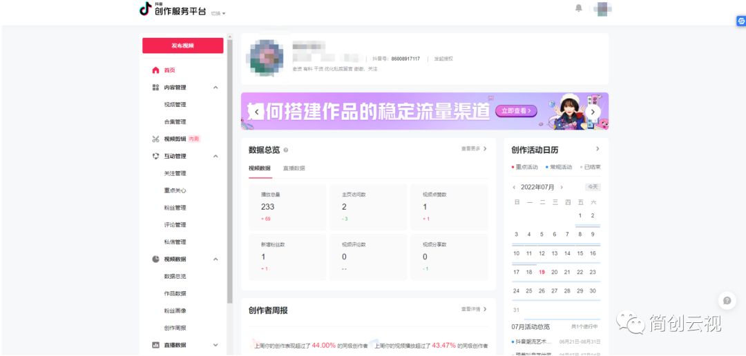 抖音玩转抖音入门指南（网站seo优化具体步骤）
