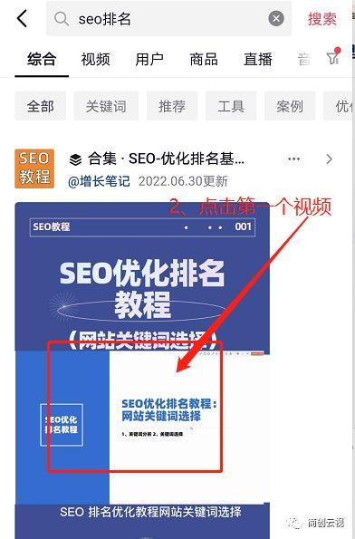 抖音玩转抖音入门指南（网站seo优化具体步骤）
