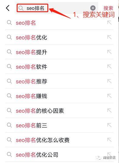 抖音玩转抖音入门指南（网站seo优化具体步骤）