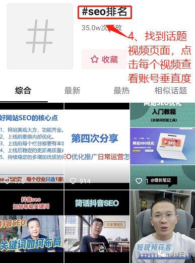 抖音玩转抖音入门指南（网站seo优化具体步骤）
