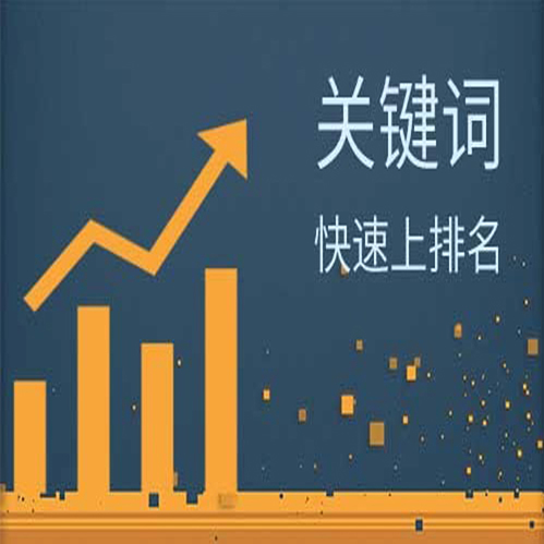 seo关键词优化的技巧（seo长尾关键词优化）