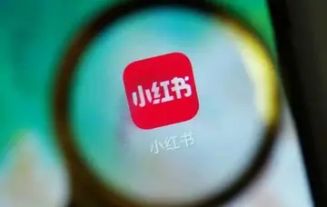 小红书流量提升攻略（全面提升你的小红书流量）