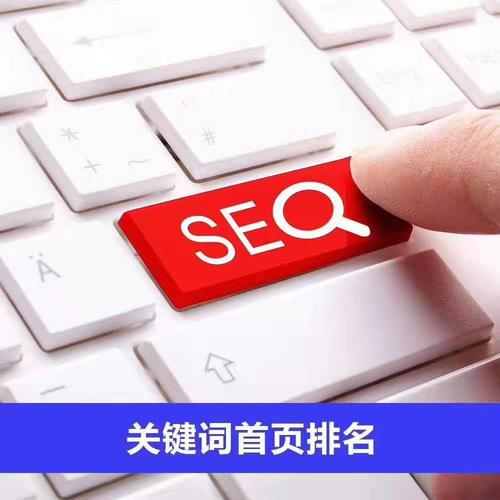 提高网站排名必须知道的网站SEO优化技巧（百度SEO优化的价值与提升方法）
