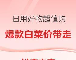2023年抖音好物年货节支付攻略（打造年货节最优惠的购物体验，享受抖音支付带来的便捷）
