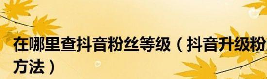 抖音等级的作用（为你揭秘抖音等级的重要性）
