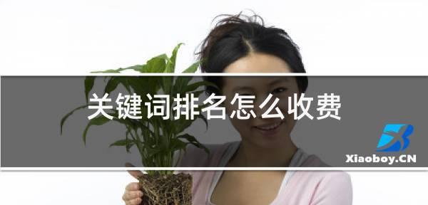 360排名优化方法（从选择到外部链接，打造优质内容，提高360搜索排名）
