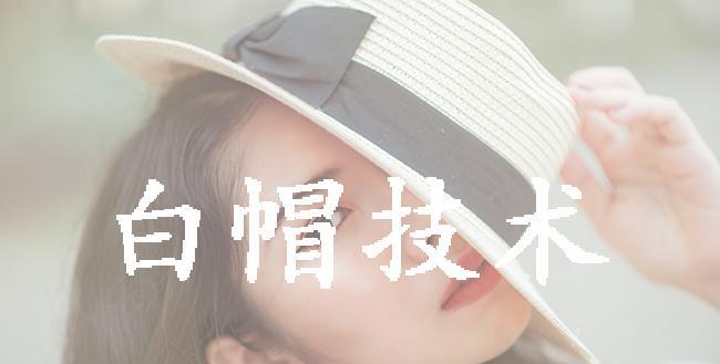 SEO白帽优化技巧（掌握这些技巧，让你的网站排名更高、流量更大、转化更好）
