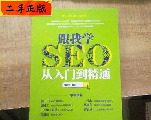 SEO入门到精通（提高网站排名，吸引更多流量和销售）
