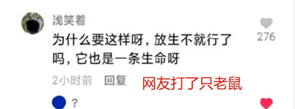 探讨抖音评论火爆的原因（会带来的积极影响吗）