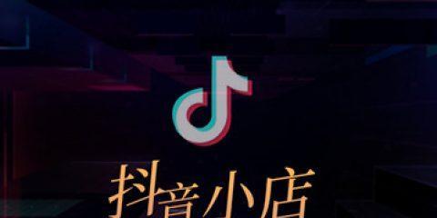 从打造独特的品牌形象到拓宽销售渠道（教你实现抖音小店高效盈利）