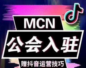 抖音公会是什么意思（抖音公会的定义和概念）