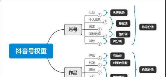 了解抖音账号体系（轻松玩转短视频世界）