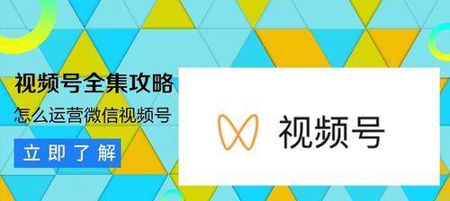 探索视频号的内容类型（了解视频号世界的多样性）