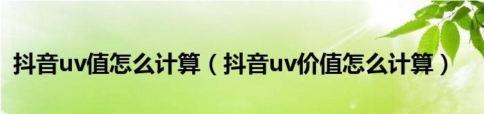 了解抖音UV值计算方法（抖音UV值计算方法详解）
