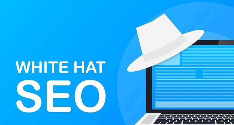 SEO与搜索引擎成功因素解析（从到内容，掌握搜索引擎优化的核心）