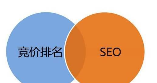 SEO外包公司选择有哪些要点（了解SEO外包公司，提高企业效率与竞争力）