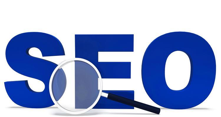 SEO优化策略（从基础到实战，打造高效SEO网站）