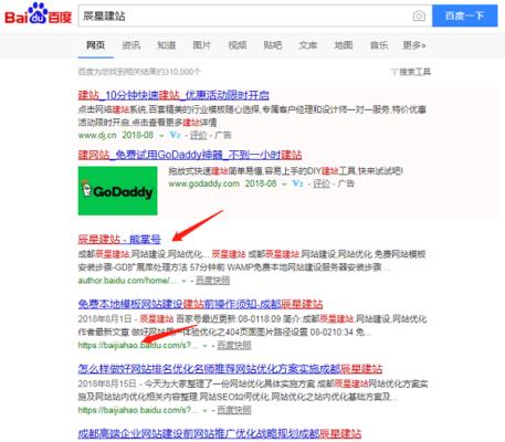 SEO新手必知的网站诊断技巧（掌握这些技巧，让你的网站排名飙升）