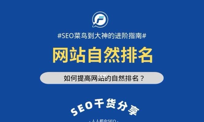 除了提升网站排名，还有哪些重要的SEO策略？（多方位优化带来更稳定的流量和收益）