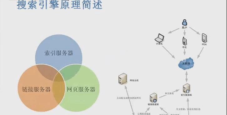从搜索引擎抓取的角度浅析网站的收录规律（揭秘搜索引擎如何对网站进行收录）