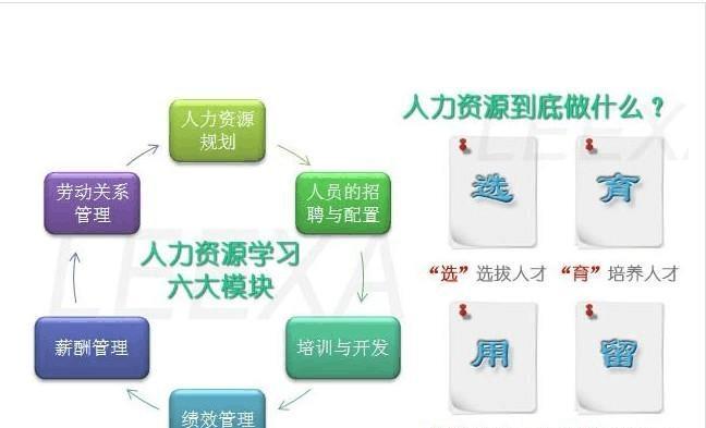 如何分析组成网站建设费用的六大方面（学会分析网站建设费用，让你的网站开发更高效）