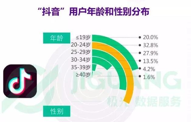 抖音个人认证必备！哪个领域最佳？（探究抖音个人认证的领域选择及实现方法，帮助用户成功认证。）