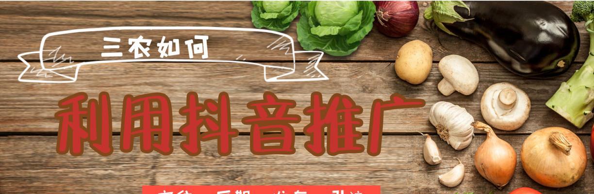 抖音三农的含义及其重要性（探究抖音三农现象的背景和意义）