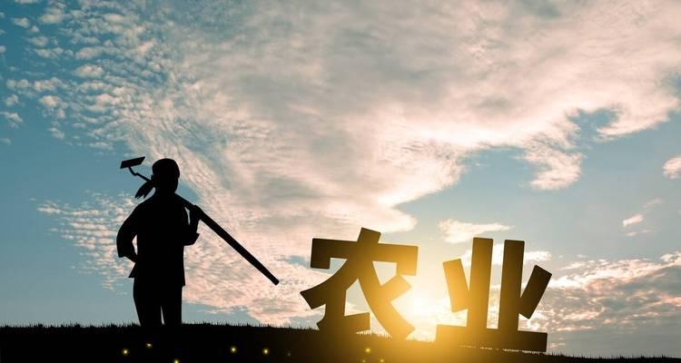 抖音三农的含义及其重要性（探究抖音三农现象的背景和意义）