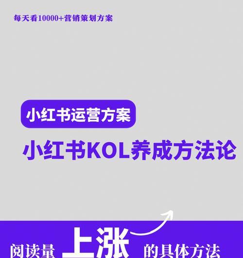 小红书个人运营技巧（精准引流，提高曝光率，实现快速增长）