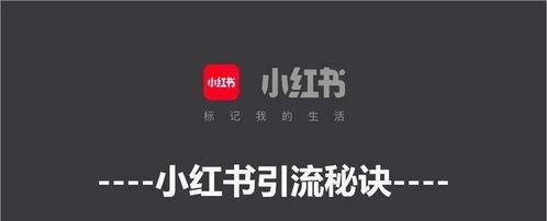 小红书引流攻略（让小红书成为你的商业增长引擎）