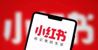 小红书引流攻略（让小红书成为你的商业增长引擎）