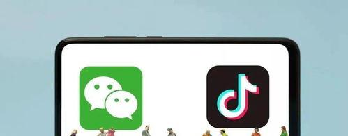 揭秘抖音投放中的僵尸粉陷阱（多次投放却没有粉丝增加）