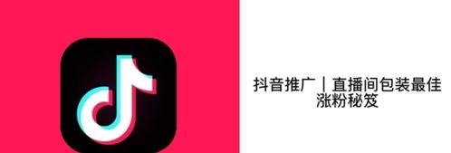 抖音直播付费推广的多重方式（了解抖音直播推广的多重策略与优势）