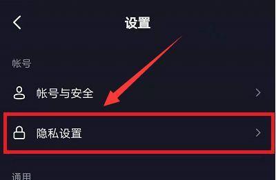 抖音隐私设置全面解析（如何保护个人隐私信息？）