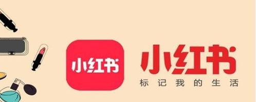 小红书推广攻略（用小红书打造自己的品牌影响力）